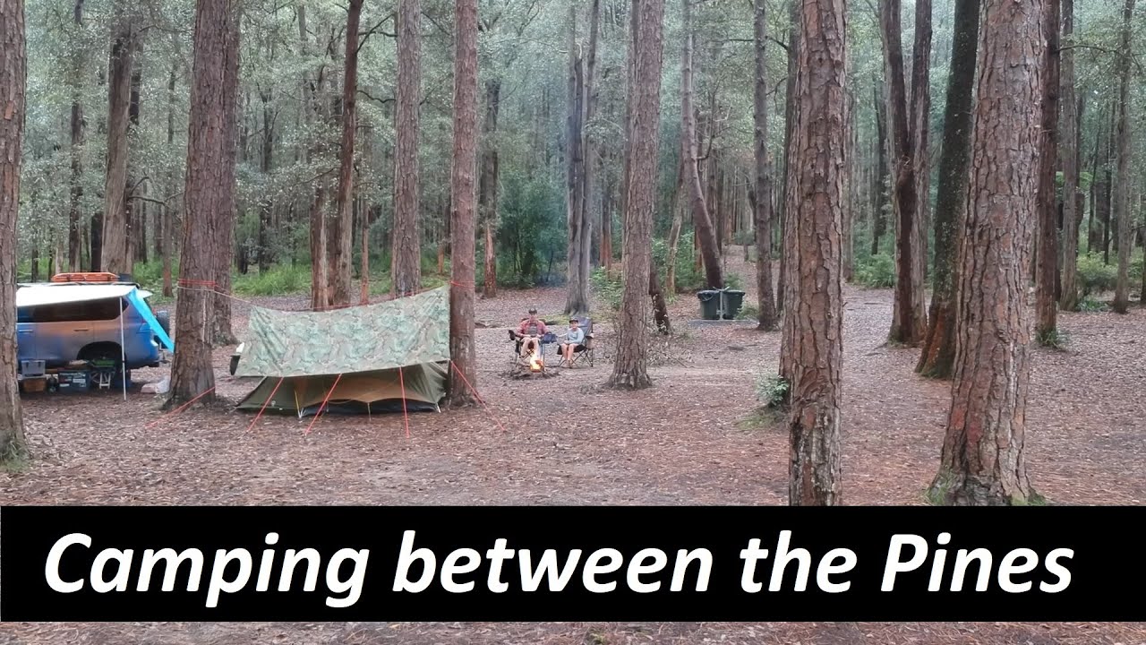 Camping in the Pines - BBA EP39
