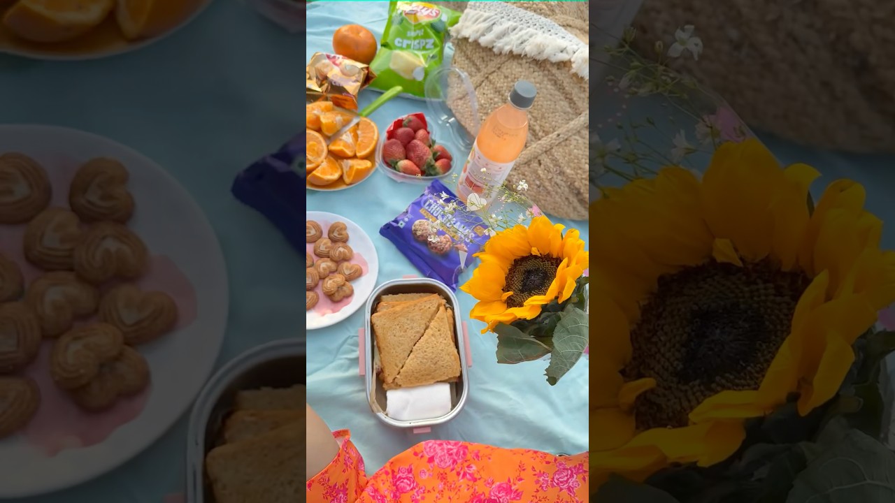 Mini Vlog : Picnic Date at Sunder Nursery 🌻🧺✨🍓❤️ #youtubeshorts #shorts  #valentines #date