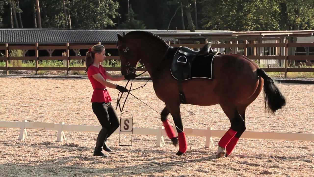Freiberger Emerito, Klassisch-Barock ausgebildet