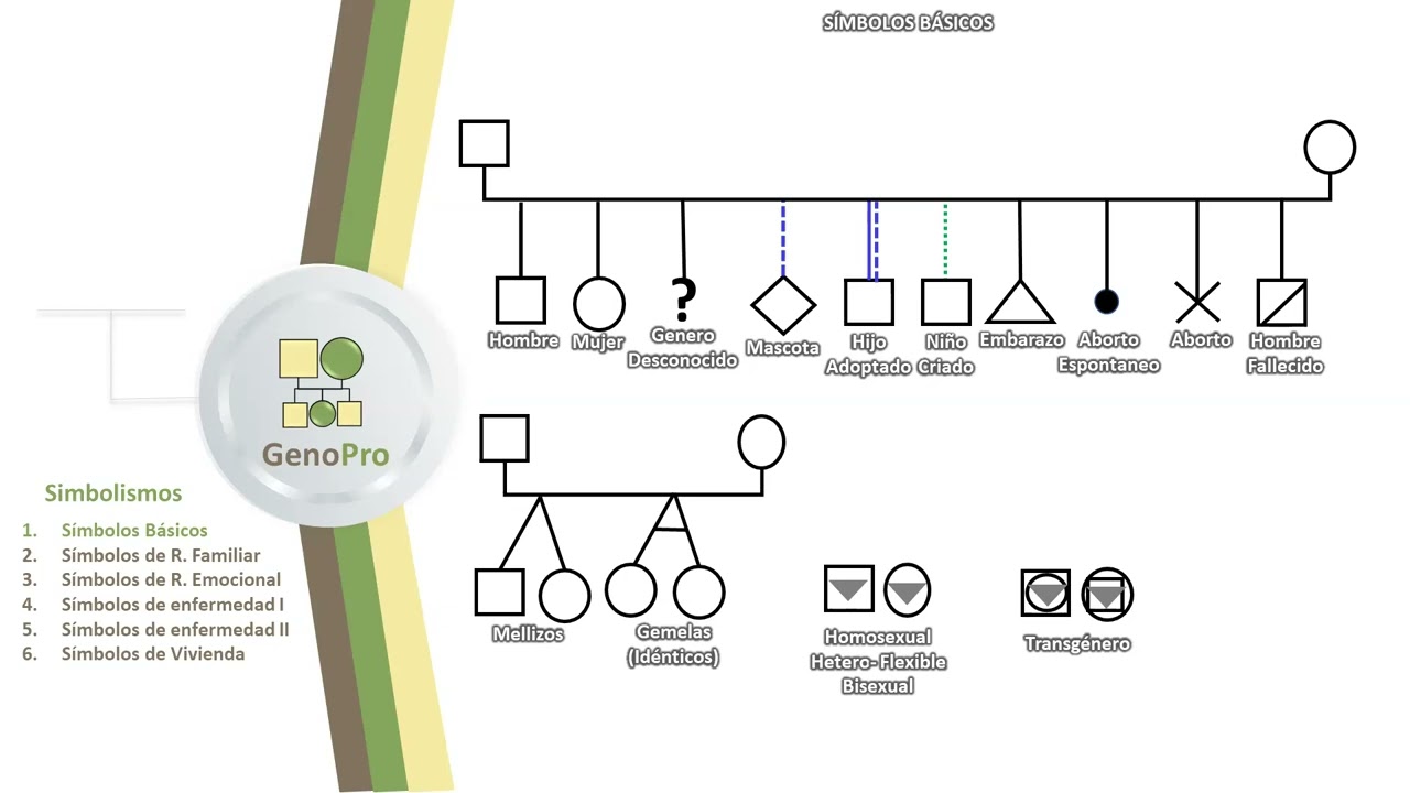 genograma en genopro