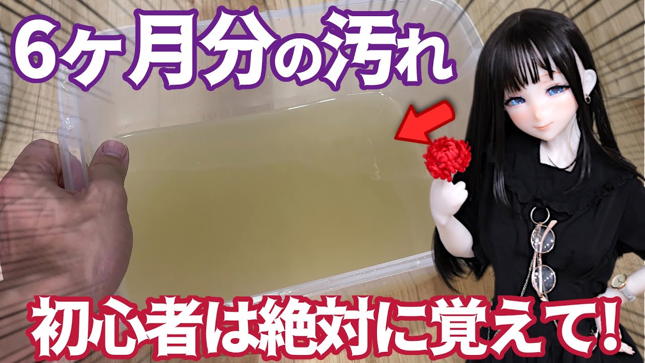 【初心者アニメドール】髪の毛サラサラでいい香りのする嫁ドールにしたい！ドールウィッグのメンテナンス解説  #ドール