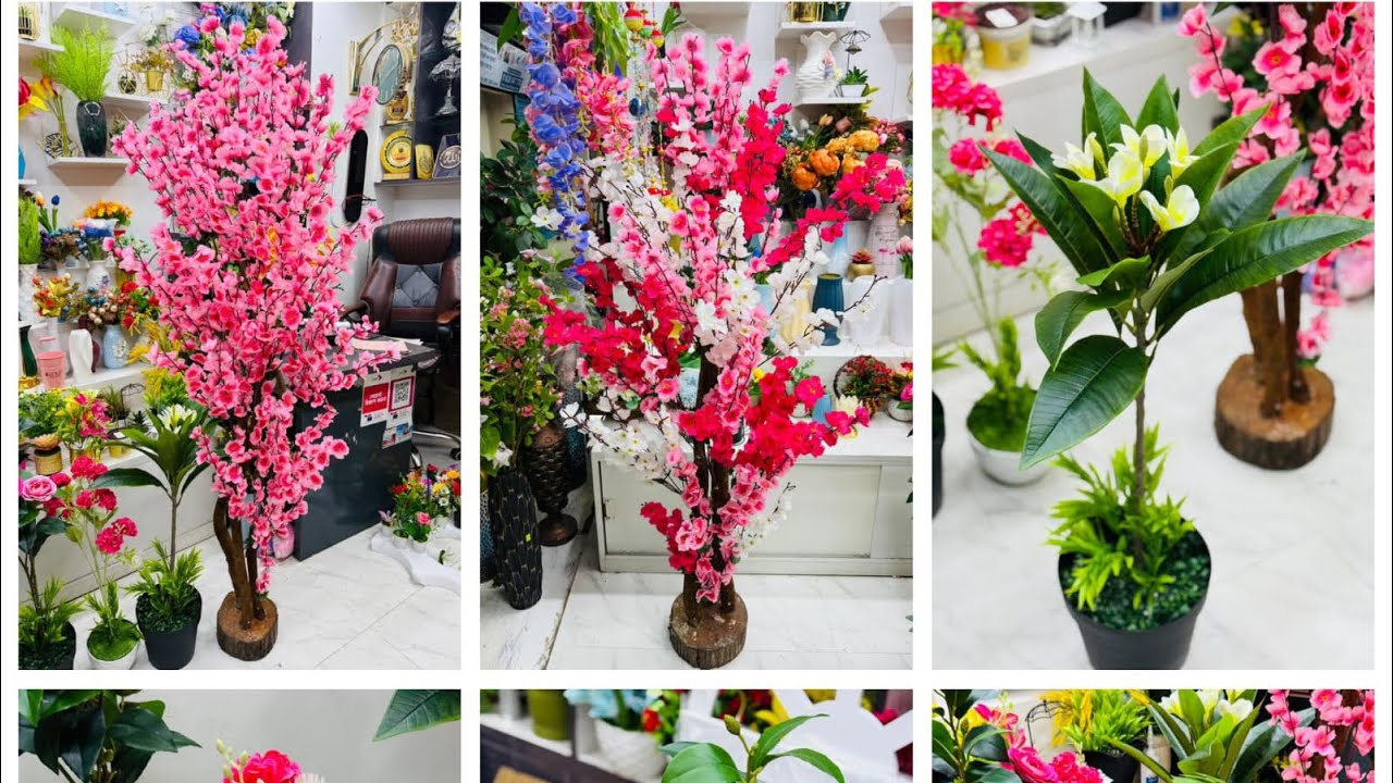 Sorry box only 1999 tk পাইকারি দামে ফুল কিনুন।  #foryou #foryoupage #garden #flowers 