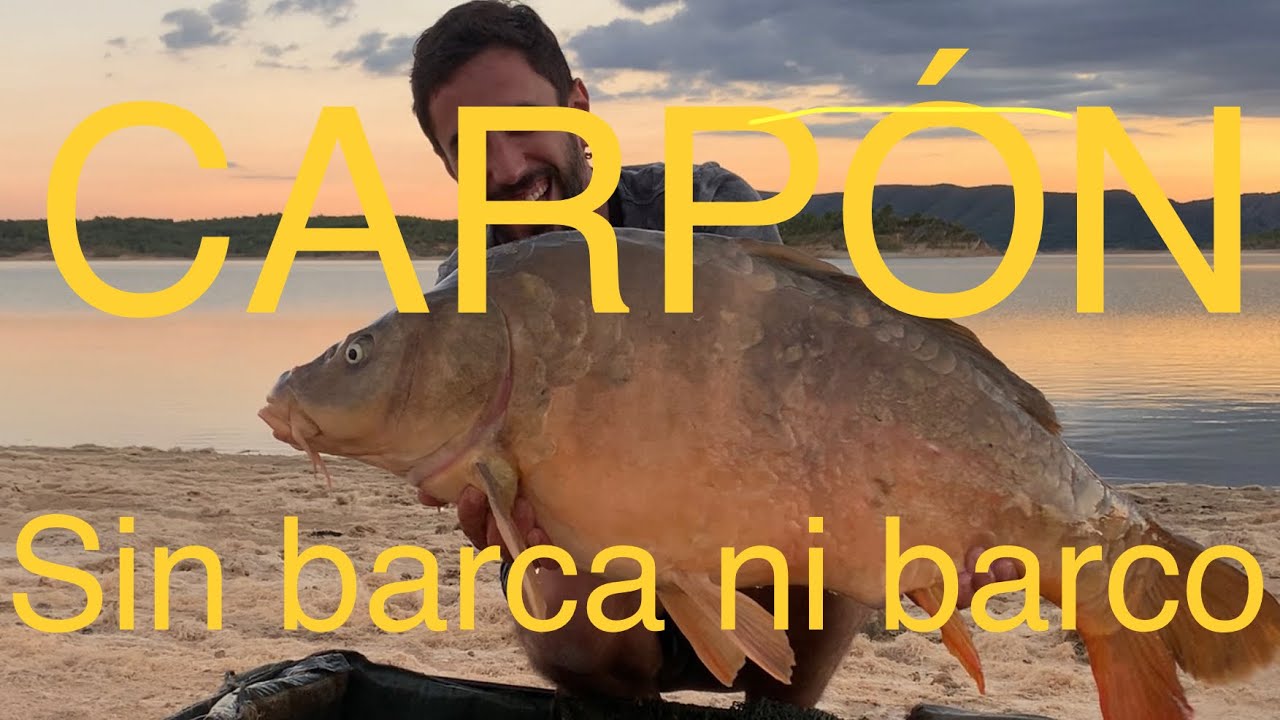 Tutorial, cómo sacar un carpón sin BARCO ni BARCA en BUENDÍA. 🎣