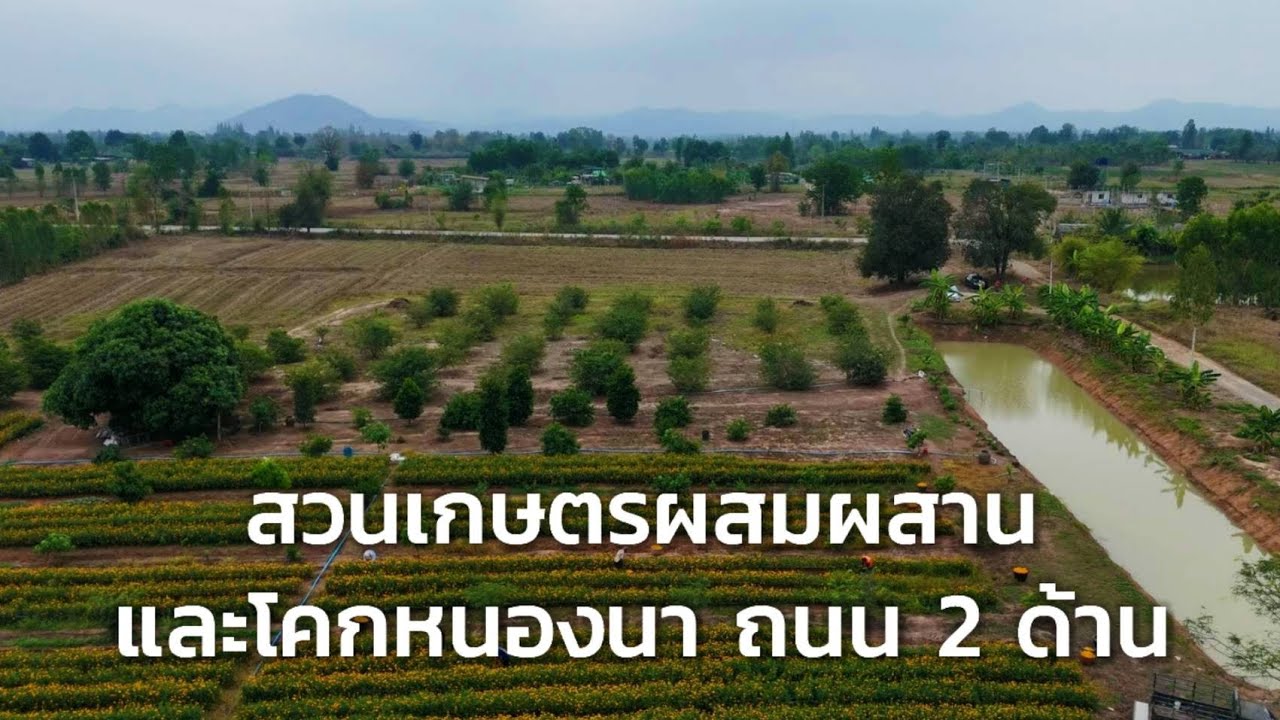 สวนเกษตรผสมผสาน และโคกหนองนา ติดถนน 2 ด้าน หันทิศใต้ ติดลาดยาง 133 เมตร  อ.จอมบึง จ.ราชบุรี