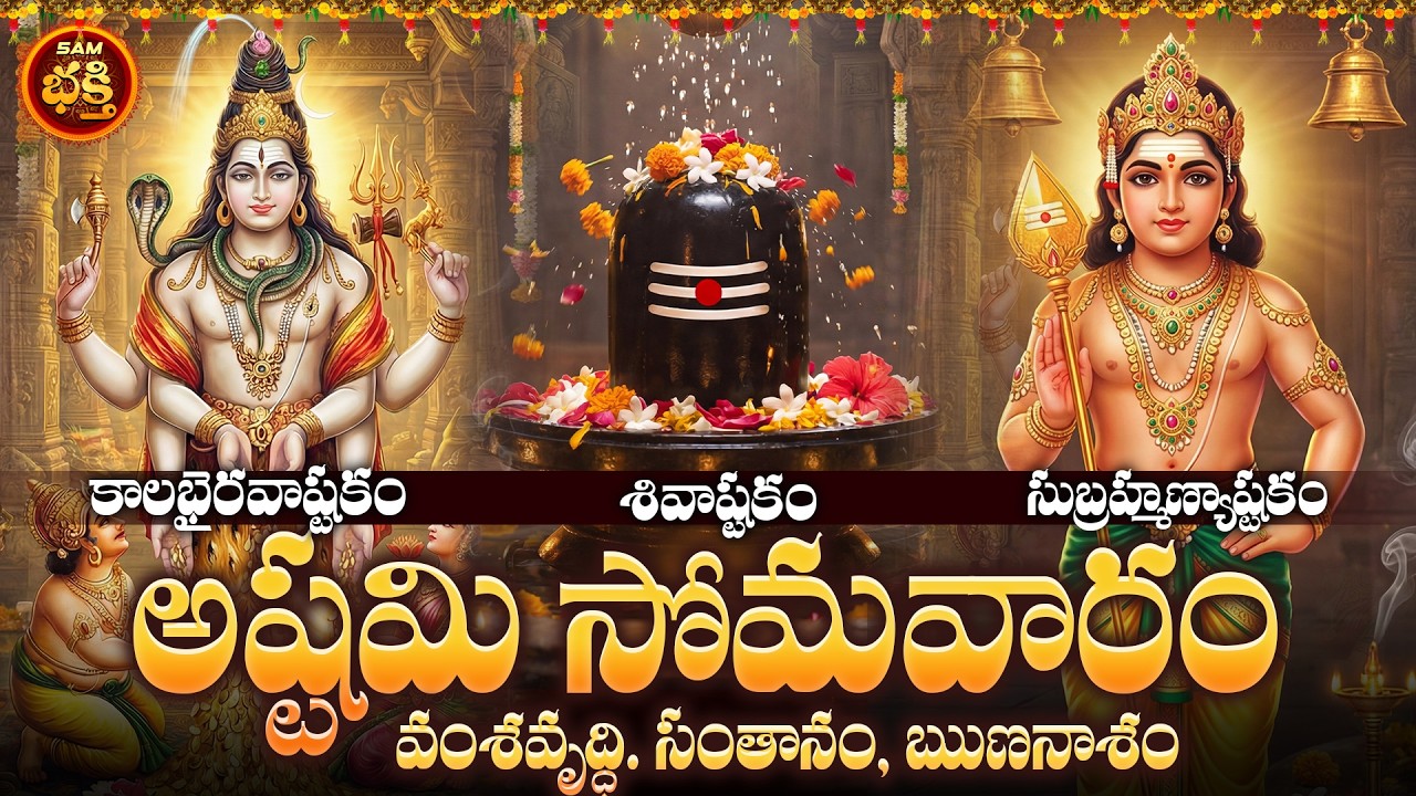 వంశవృద్ధి. సంతానం, ఋణనాశం, ఐశ్వర్యం, కుజదోషం, గ్రహదోషం శత్రుపీడలకు అష్టమి సోమవారం విశాఖ నక్షత్రం
