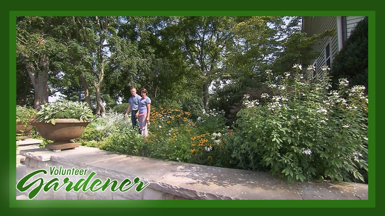 Border Beds for Sun and Shade | Volunteer Gardener