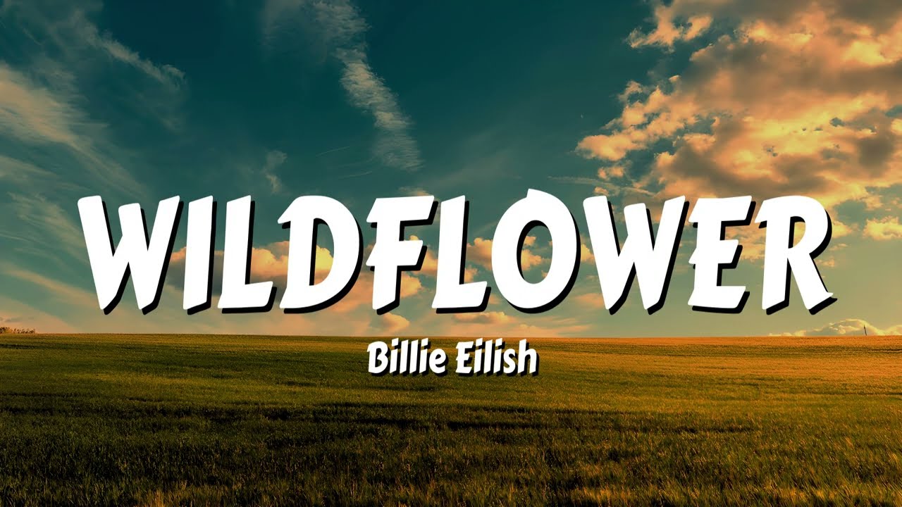Billie Eilish - WILDFLOWER (Lyrics)