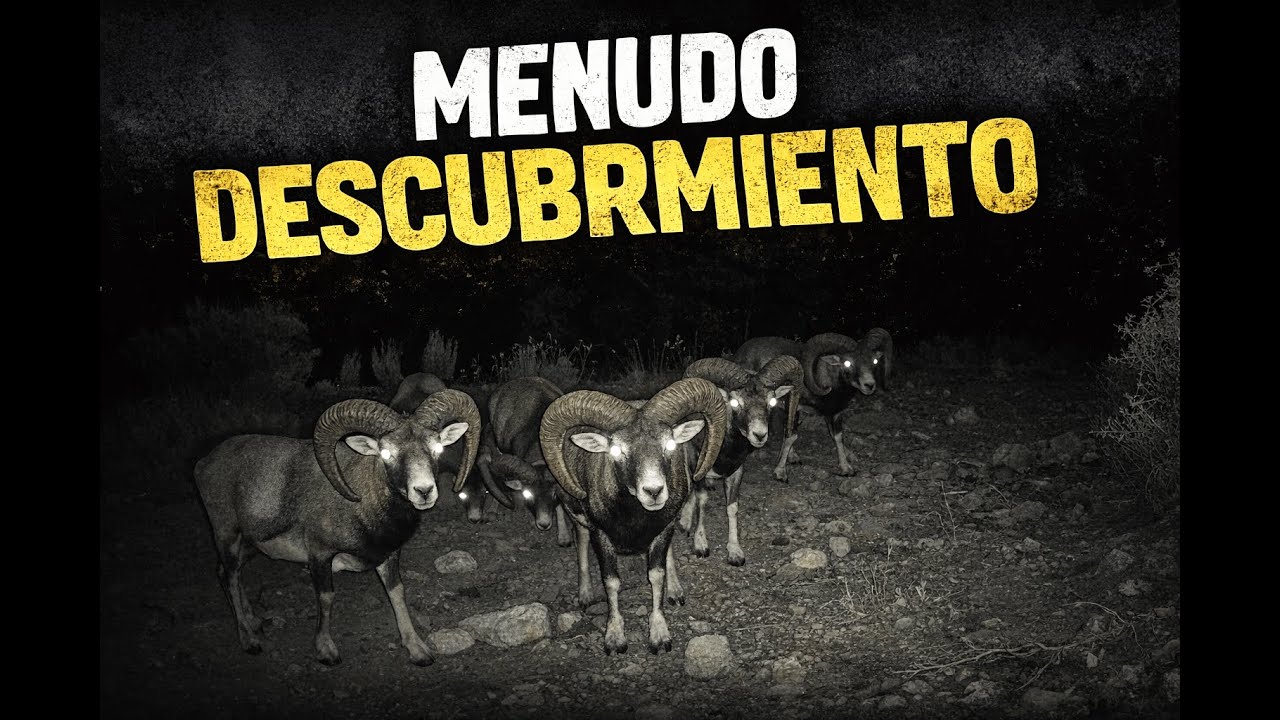 Instalé una cámara en esta senda y no me esperaba esto