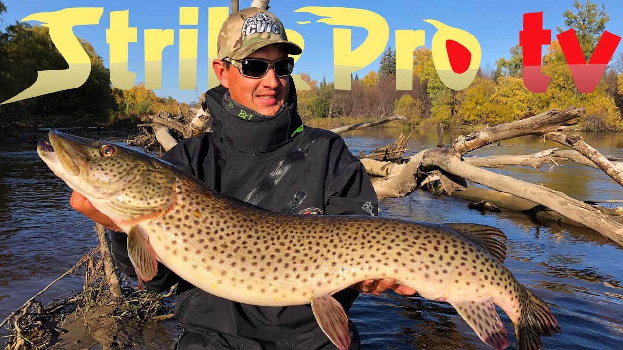 Strike Pro TV - TARGET AMUR (Amur Pike Fishing in Eastern Russia)