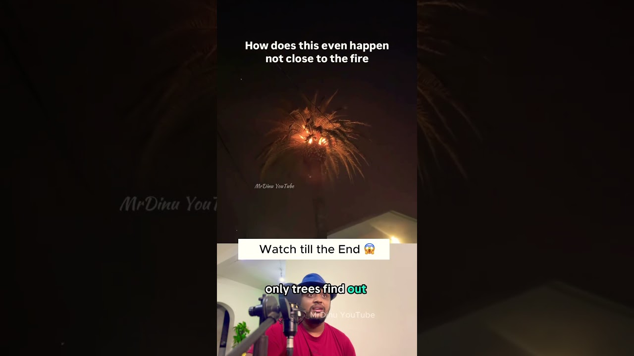 People don’t understand embers can fly for miles? 