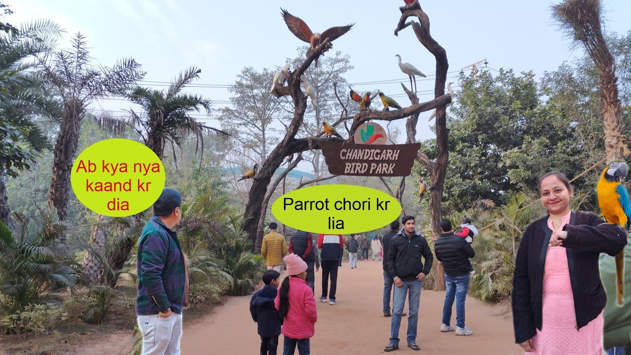 Chandigarh Bird Park near Sukhna Lake & Rock Garden #chandigarhbirdpark #tourism