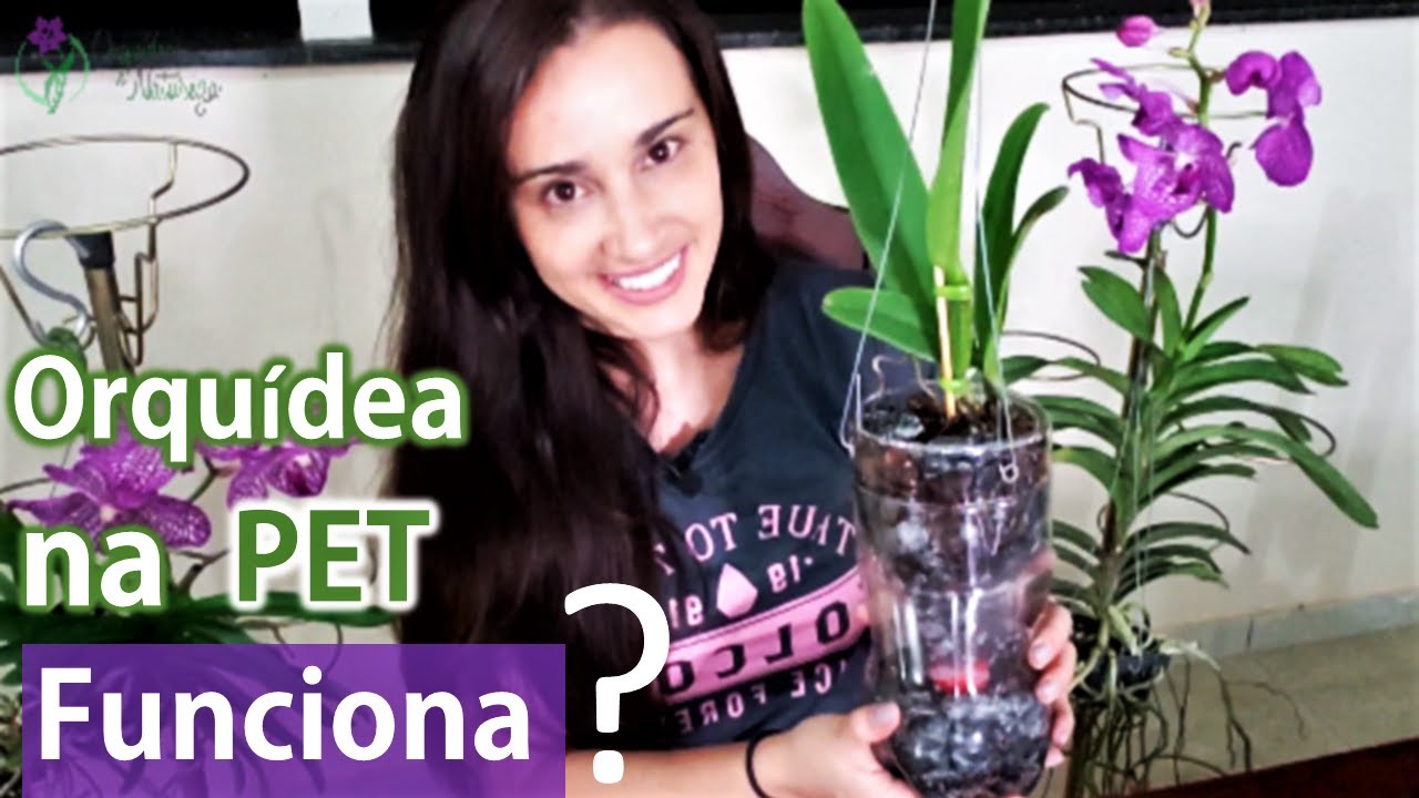 🔴 Orquídea na Garrafa PET. Passo a passo (Simples, Prático e Rápido).