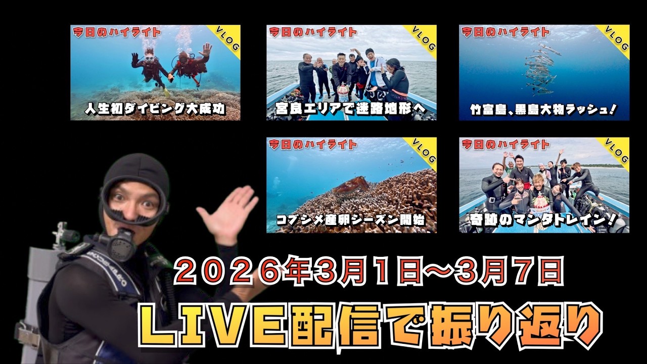 🐠２０２６年３月１日〜３月７日までの一週間を振り返ります🐠