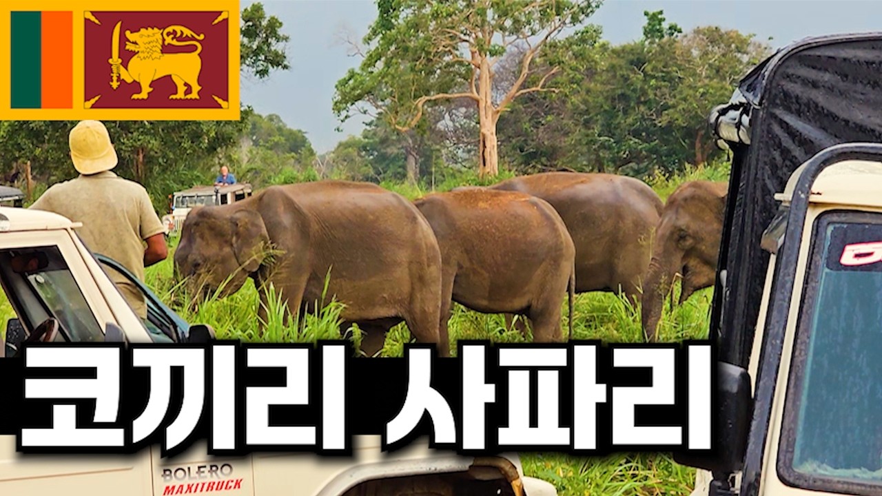 스리랑카에서 단돈 6만원에 코끼리 사파리 투어하기_[스리랑카, 후룰루 사파리]【세계여행149】