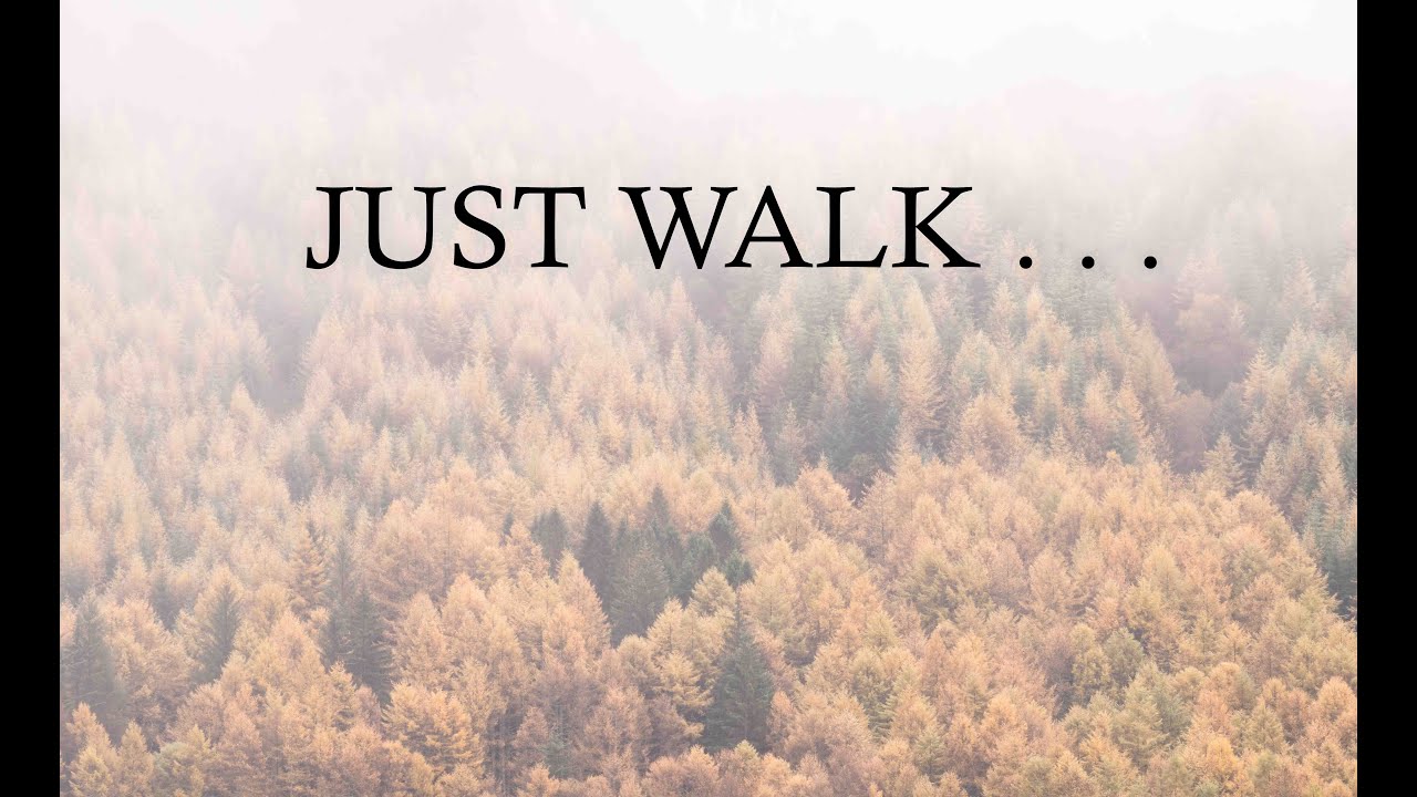 JUST WALK . . .