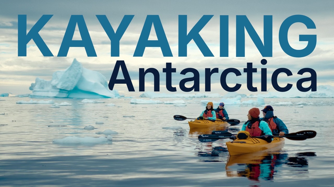 Kayaking in Antarctica: Paddle Among Icebergs & Wildlife | Aurora Expeditions