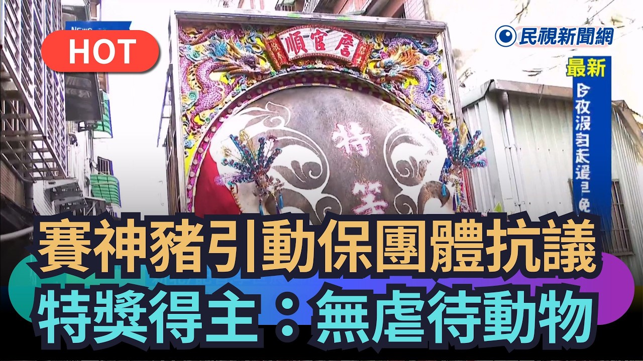 【熱搜新聞】賽神豬引動保團體抗議　特獎得主：無虐待動物｜民視新聞