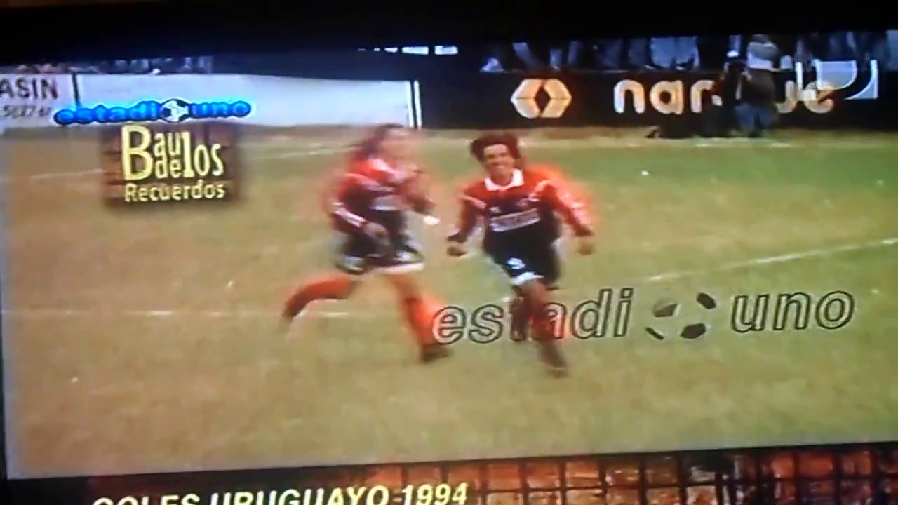 Basa&ntilde;ez en Primera Division 1994