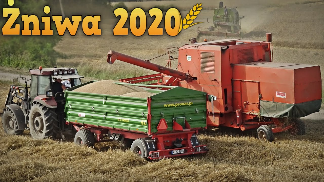 Żniwa 2020 z Bizonem 🌾 Mamy Rekord - Krzysiu Zadowolony [Pszenica PRODUZENT] 😱 Konkurs MafiaSolec