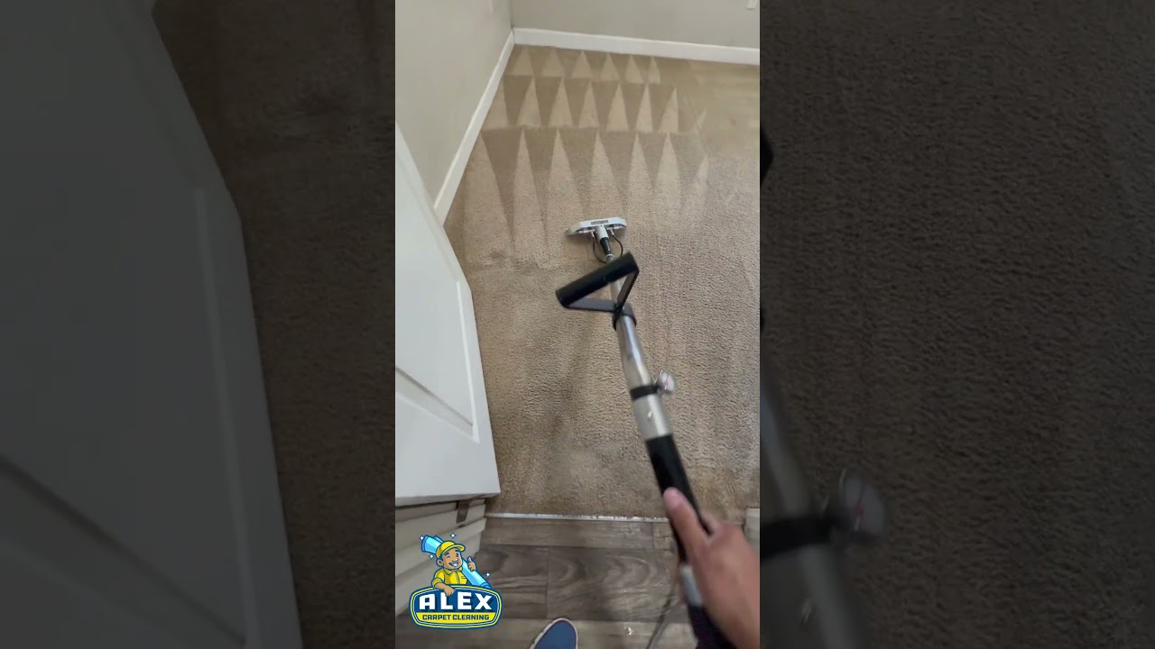 From dusty to dazzling &ndash; watch this carpet come back to life! #DirtyToClean #FreshStartCarpet