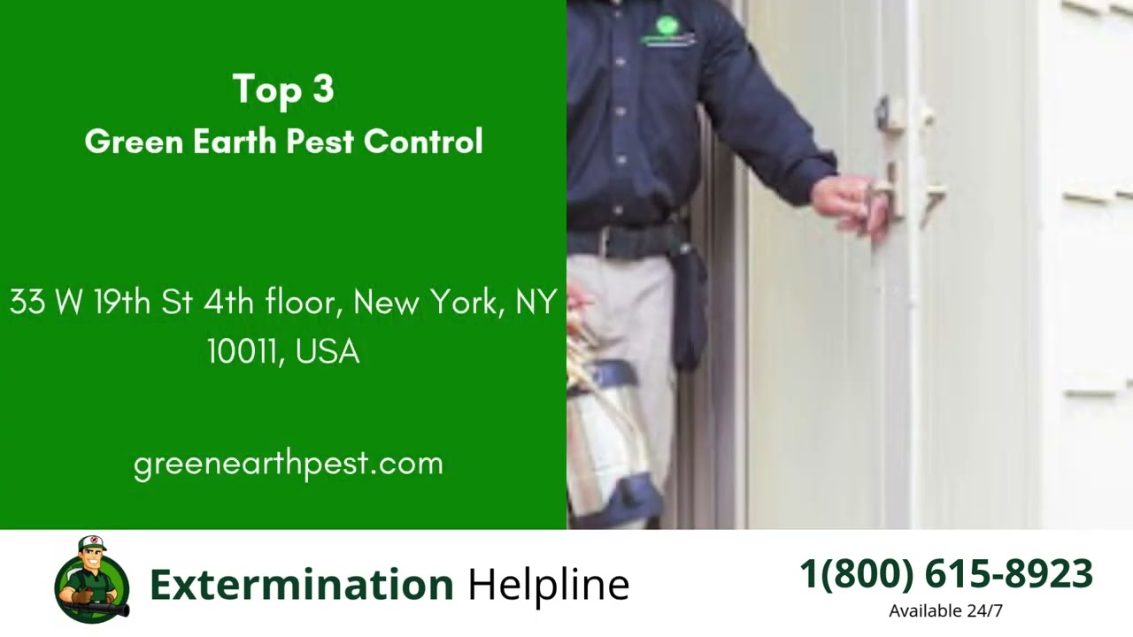 Top 3 Exterminators in Sunrise Manor