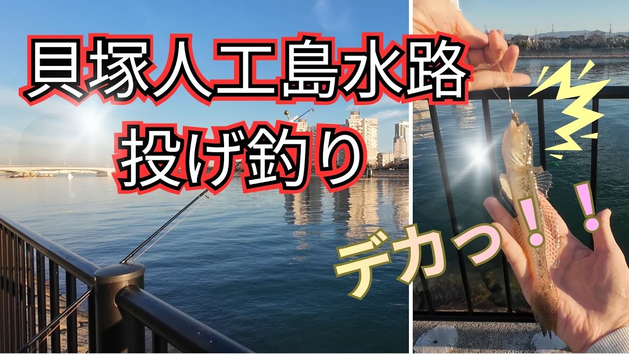 貝塚人工島水路で投げ釣り ～もはやカレイは幻の魚ですか！？～