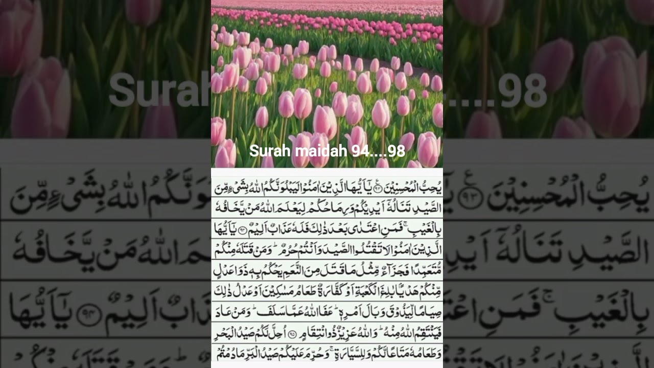 Surah maidah ayah94...98....the bigginners course....word to word translation with short tafseer 