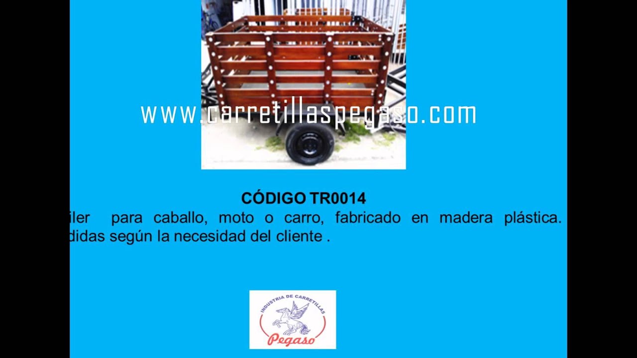 TRANSPORTE INDUSTRIAL CARRETILLAS PEGASO
