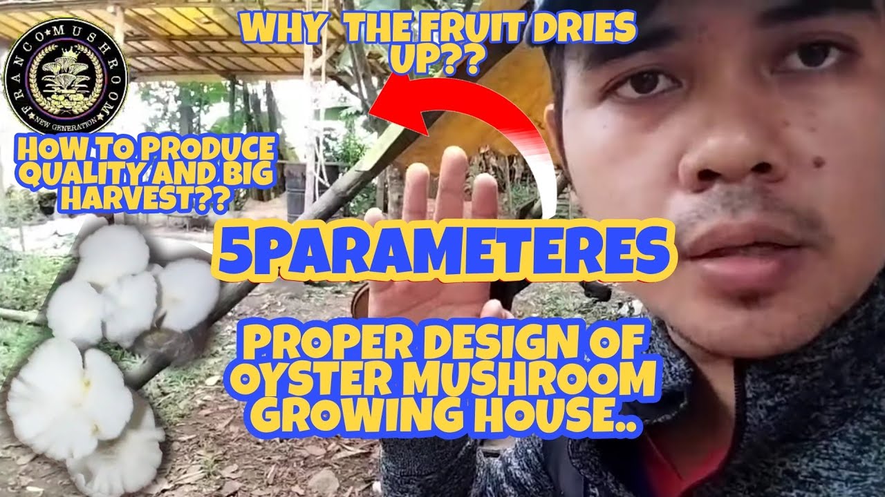 PROPER DESIGN OF OYSTER MUSHROOM GROWING HOUSE AND 5 PARAMETERS..