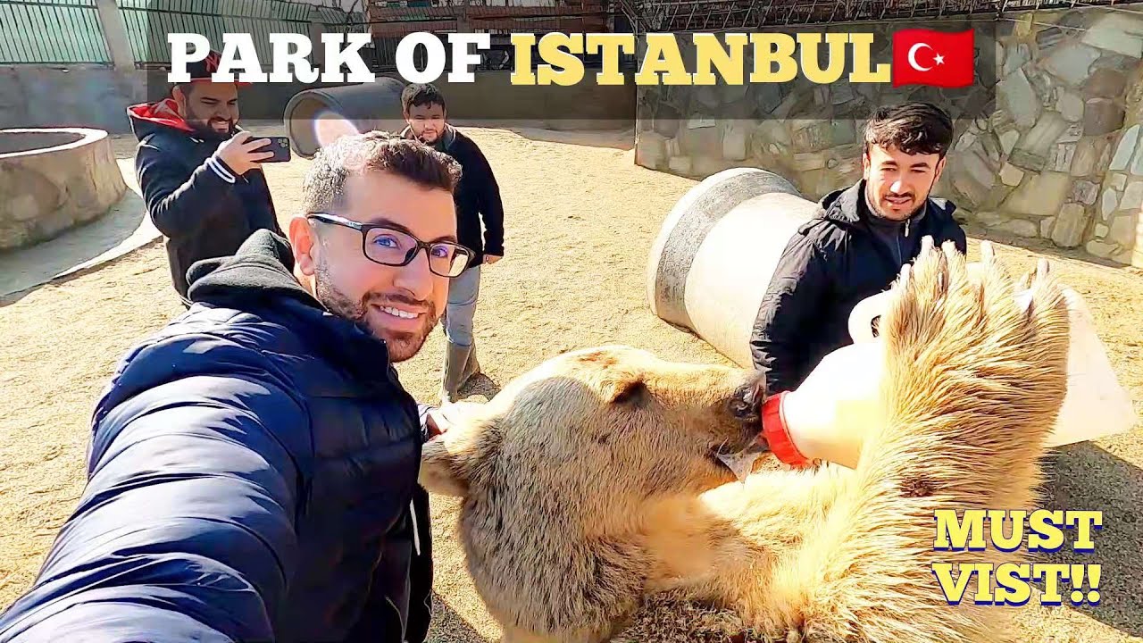 Park Of Istanbul Play with BEARS, SNAKES & More!!! Lots Of Activities! Istanbul's BEST Animal Park