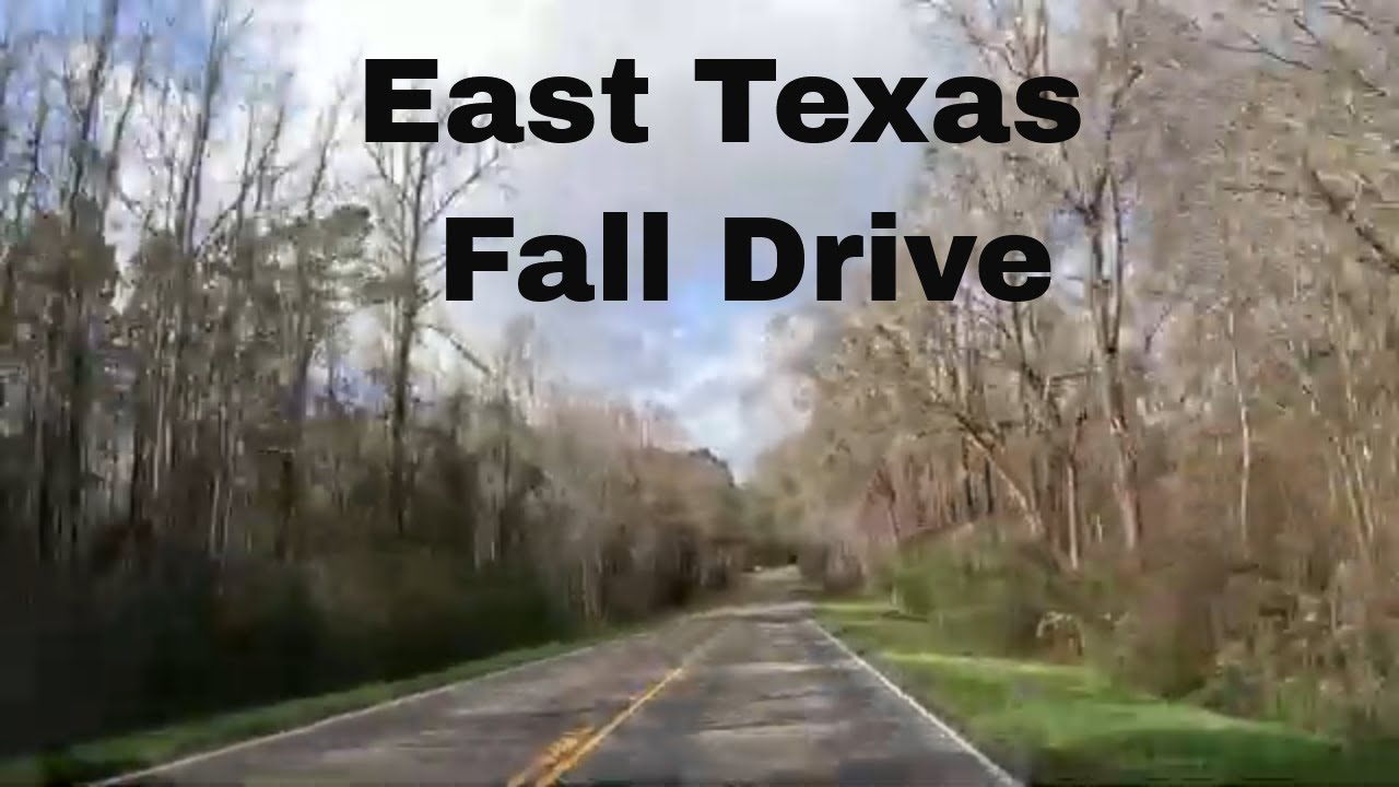 🍁 Peaceful Fall Drive | US 84W East Texas