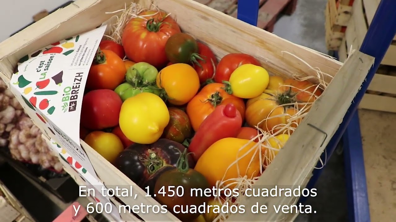 Esto no es sólo un supermercado