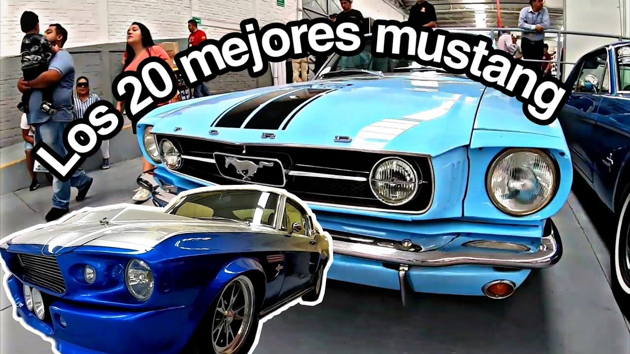 Los MEJORES MUSTANG 🌈 juntos mas de 20 AUTOS de COLECCION ☘️