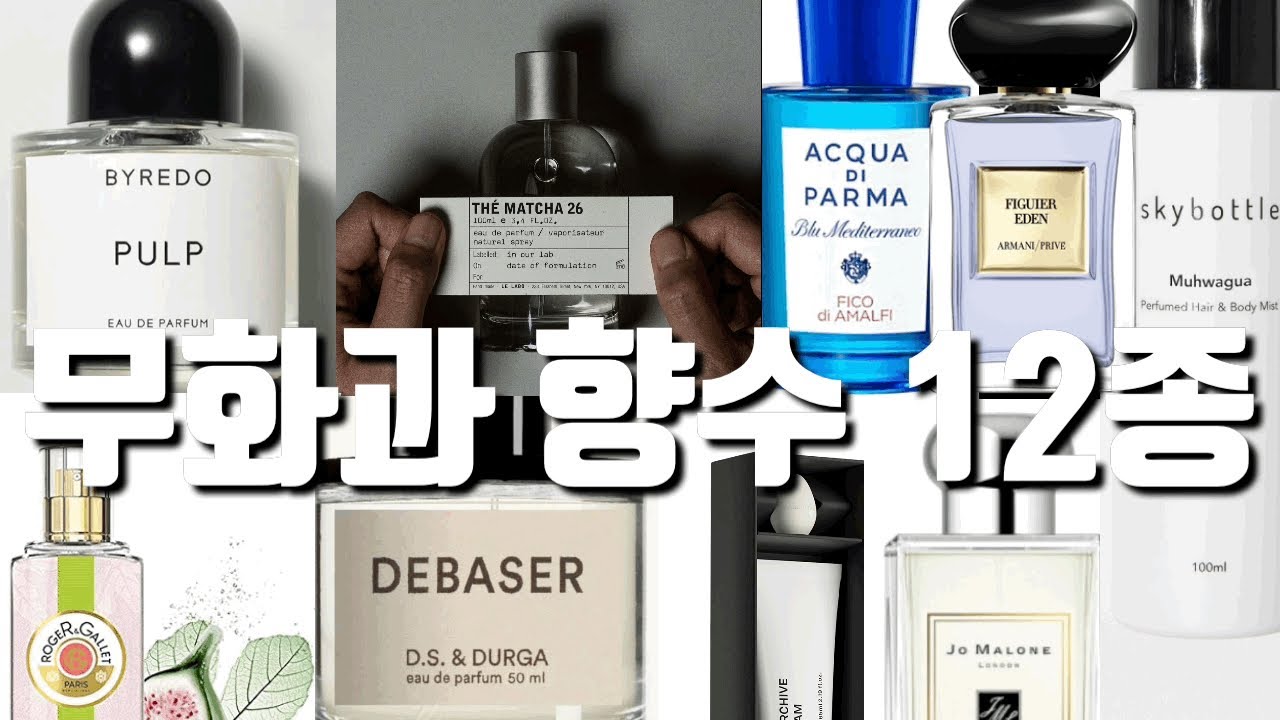 무화과 향수 12종(백화점 니치향수부터 올리브영,핸드크림까지)feat 제시카향수