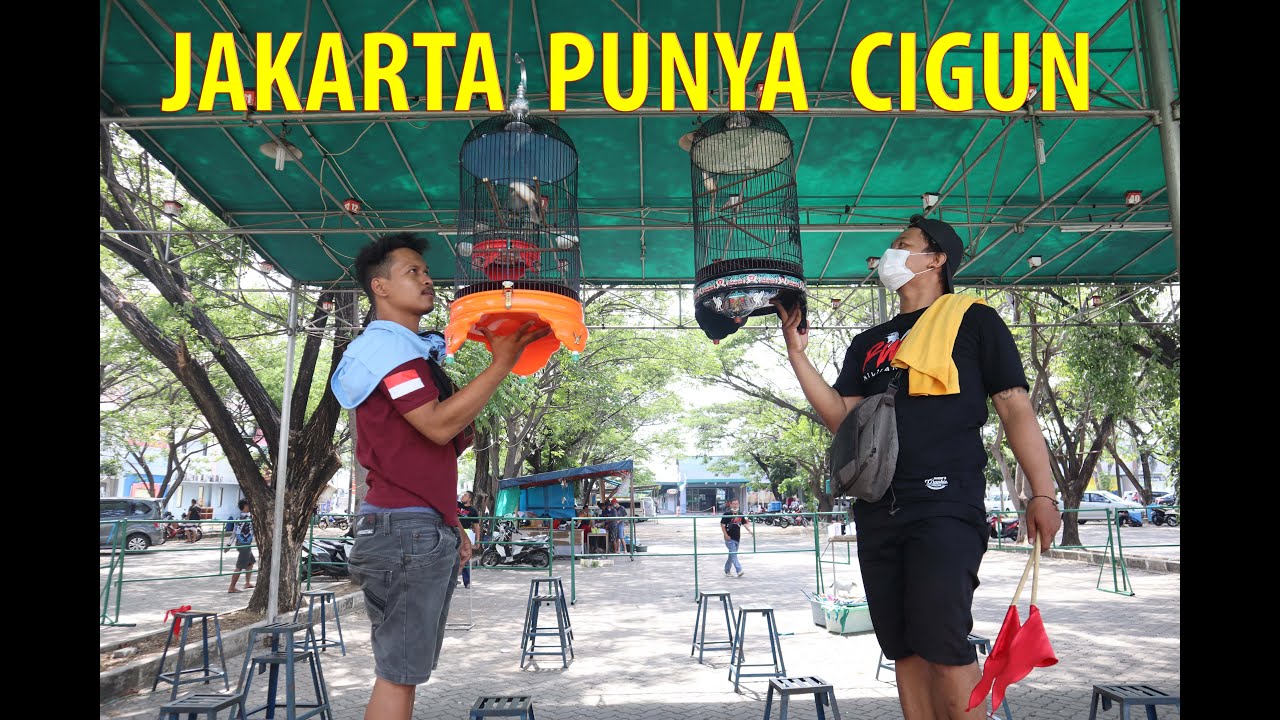 JAKARTA ADA CIGUN || PERJUANGAN MEMBANGKITKAN KELAS CIGUN JAKARTA
