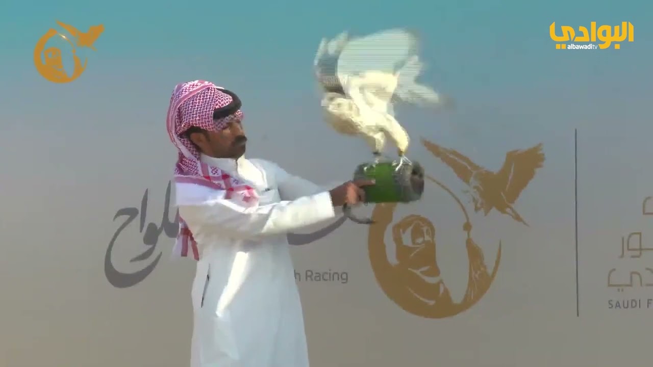 سباق الملواح | فروخ جير بيور | نادي الصقور السعودي 2022