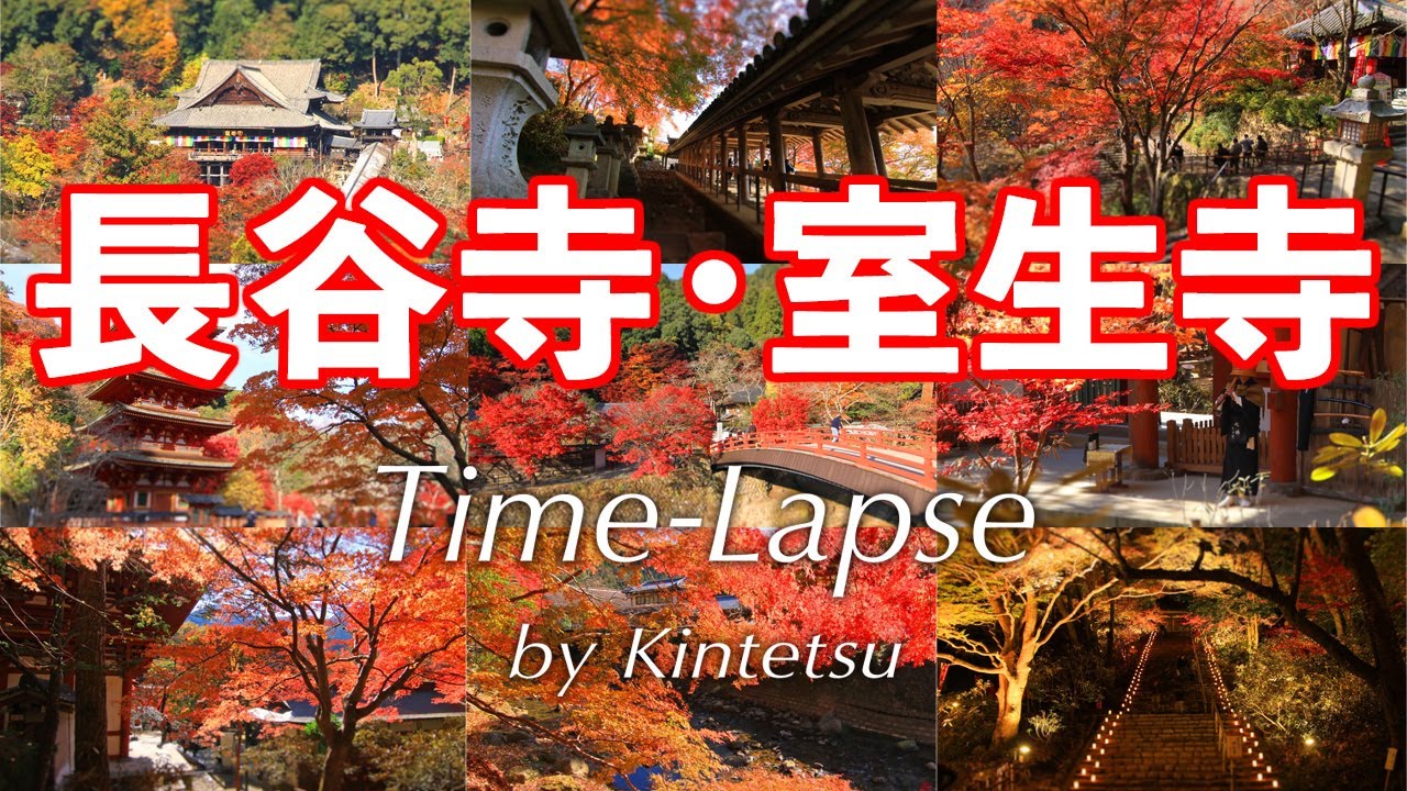 「長谷寺・室生寺」Time-Lapse by Kintetsu