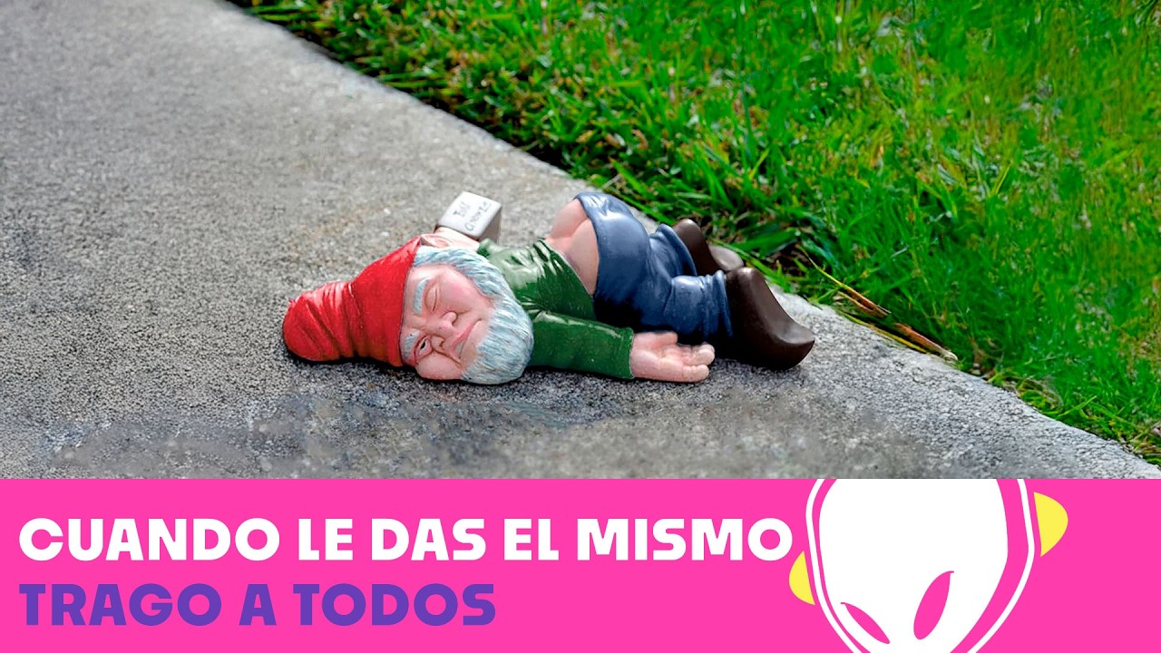 ¡Tragos para todos! Pero… ¿de verdad todos aguantan igual? | El Gallo