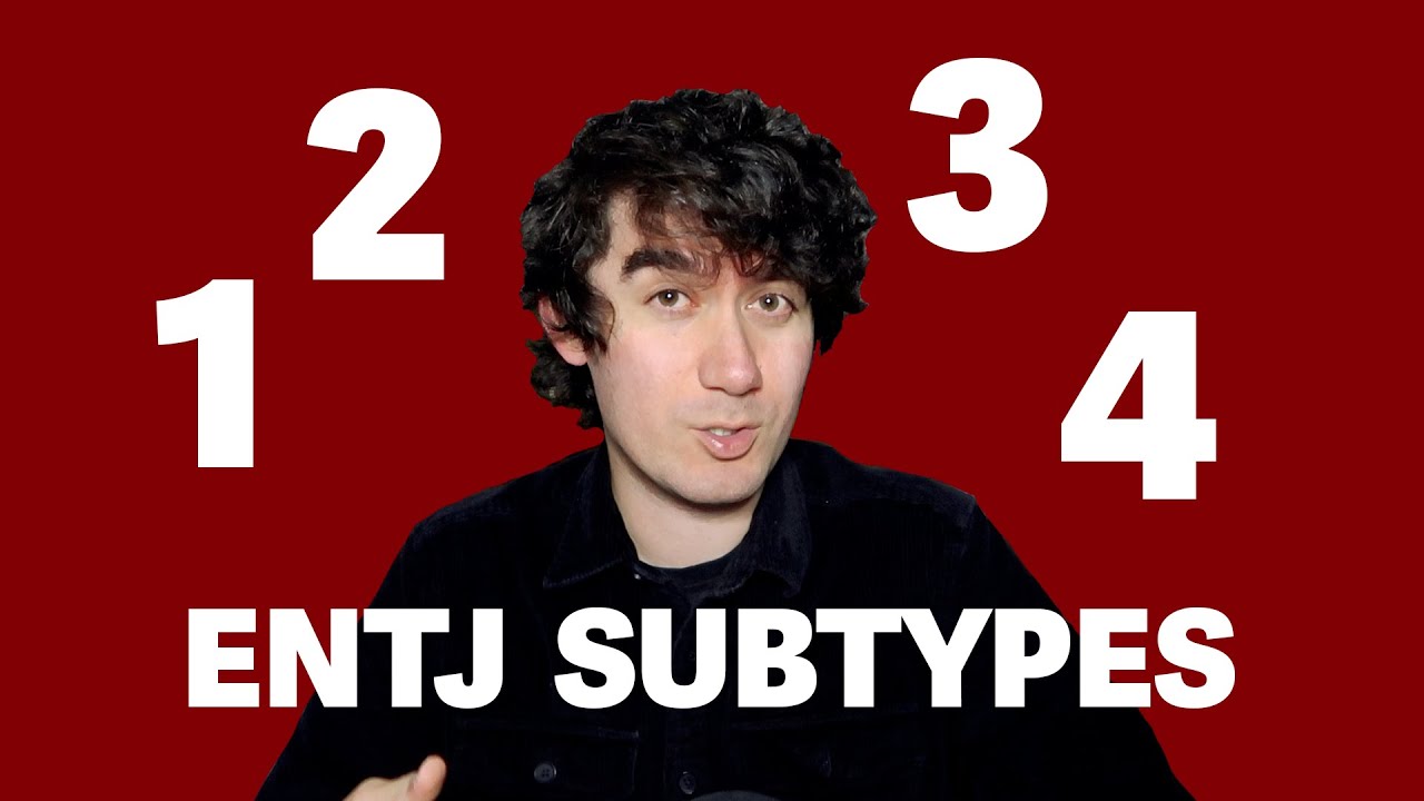 4 подтипа ENTJ