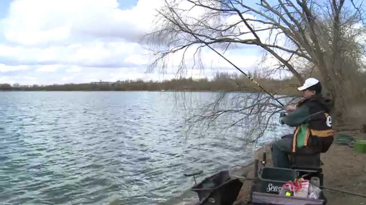 Plăticile de pe lacul Săruleşti