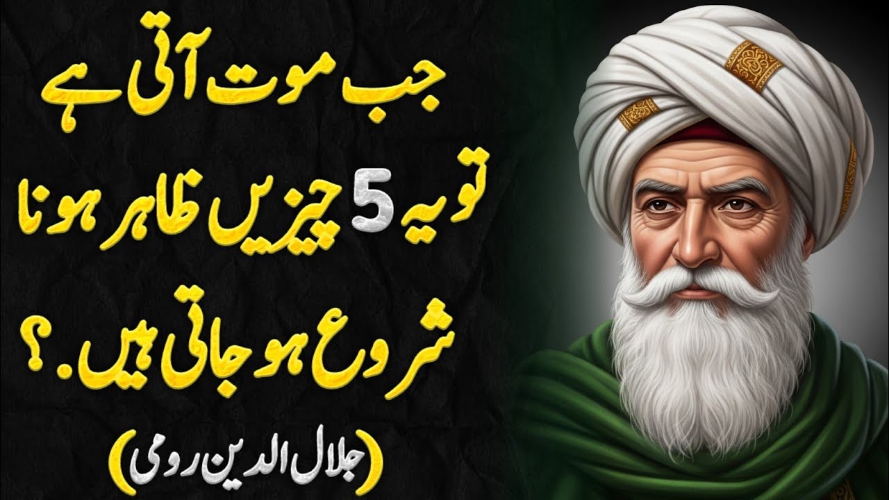 Rumi Quotes Urdu | Hikmat aur Danai ki Batain | Quotes of the day | Wisdom quotes | Sufi Tips 
