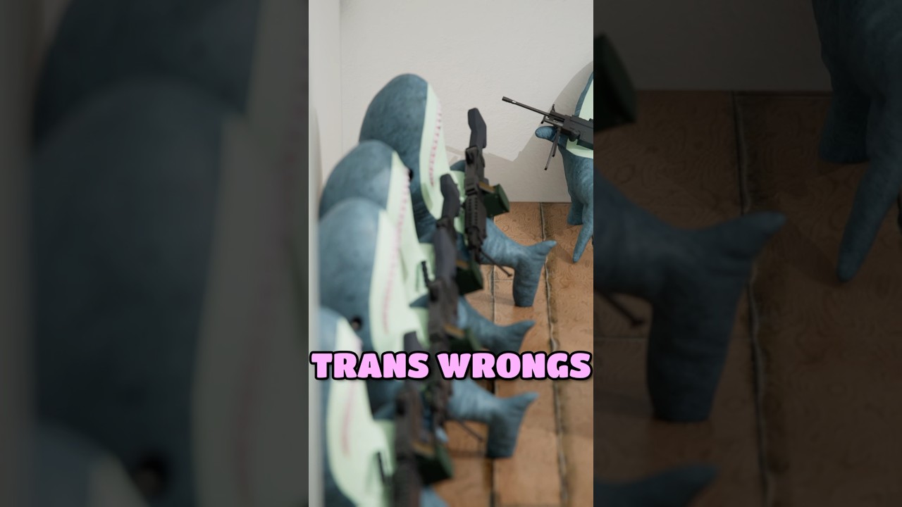 🏳️&zwj;⚧️ TRANS RIGHTS!! HOW WILL WE GET THEM!! #transwoman #transwomen #transgender #transrights