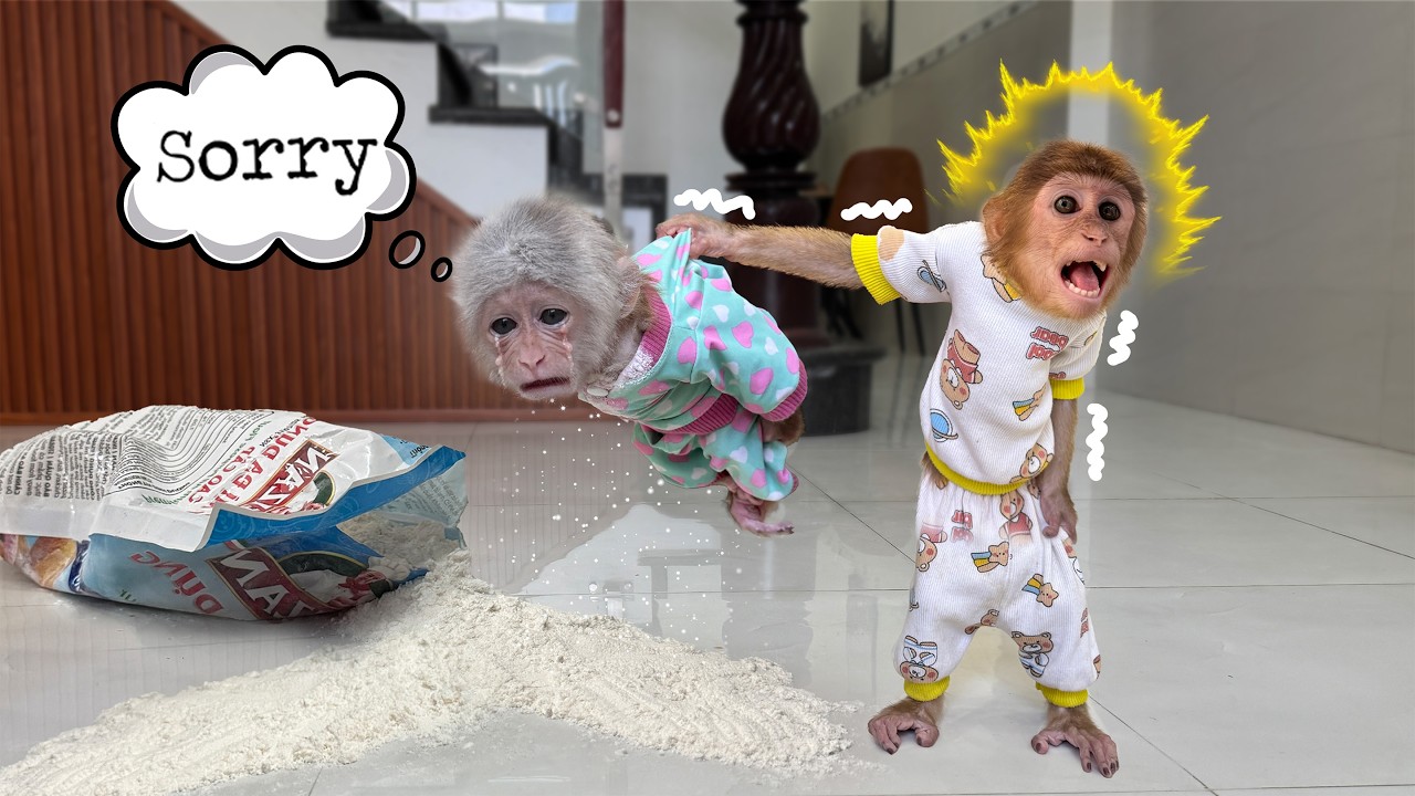 Unbelievable! Lucky’s reaction when Sunny breaks Mom’s things!