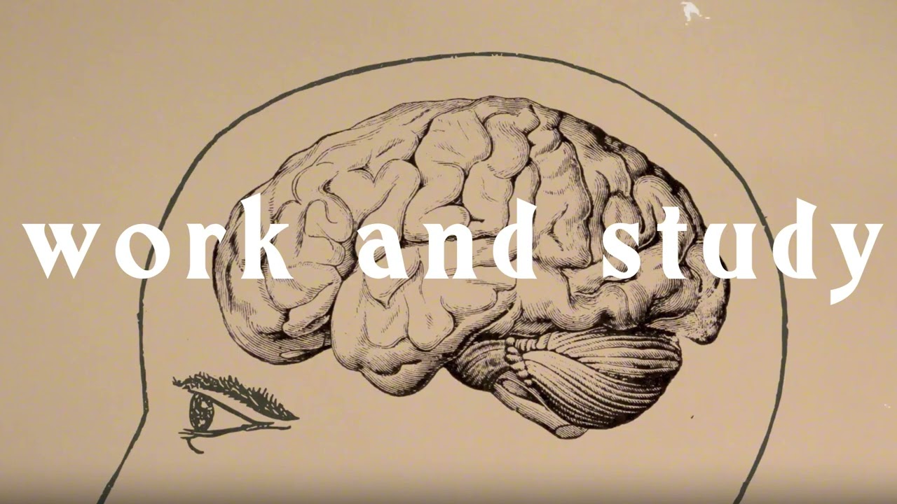 Quirky Beats | Curious Music for Work and Study