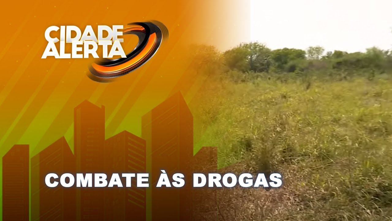 Machamba de cannabis sativa transformada em mata em Changalane 