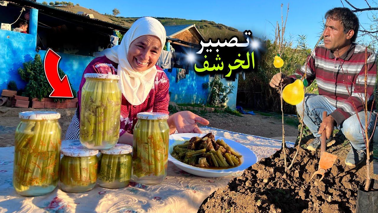 تخليل الخرشف البلدي و غرس اشجار الفواكه باسهل طريقة في العالم