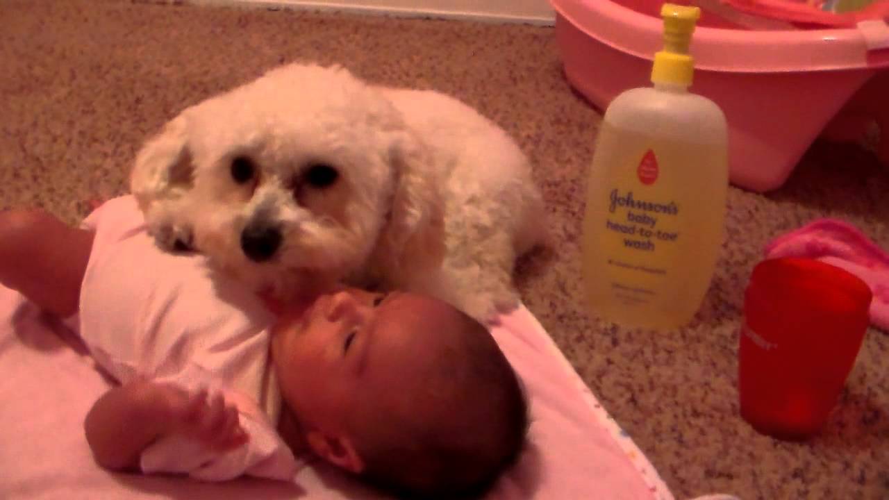 Protecting his baby sister (ORIGINAL)