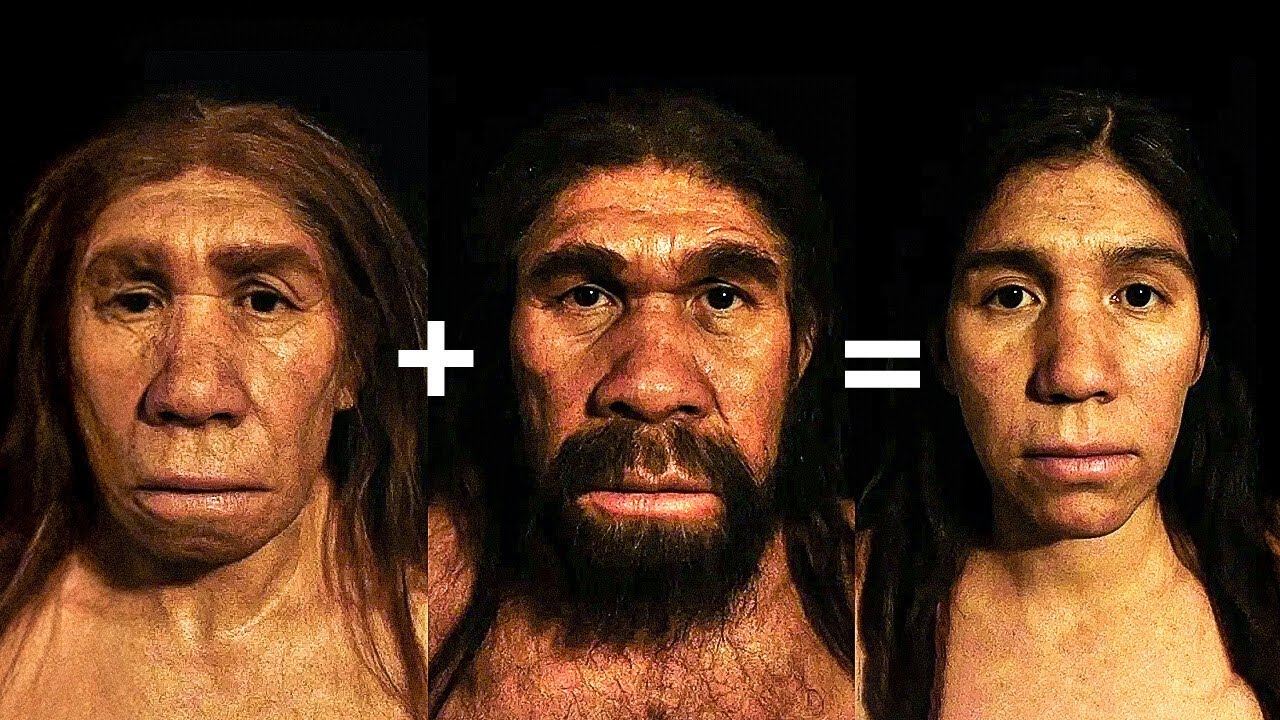 Les derni&egrave;res d&eacute;couvertes sur l'&eacute;volution humaine qui r&eacute;&eacute;crivent l'histoire