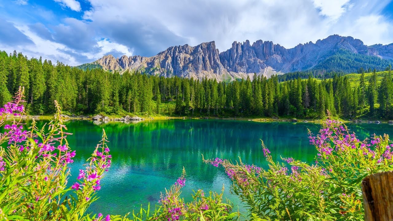 🌿 Stop Overthinking Instantly | Beautiful Relaxing Music for Stress Relief & Deep Sleep 🌙