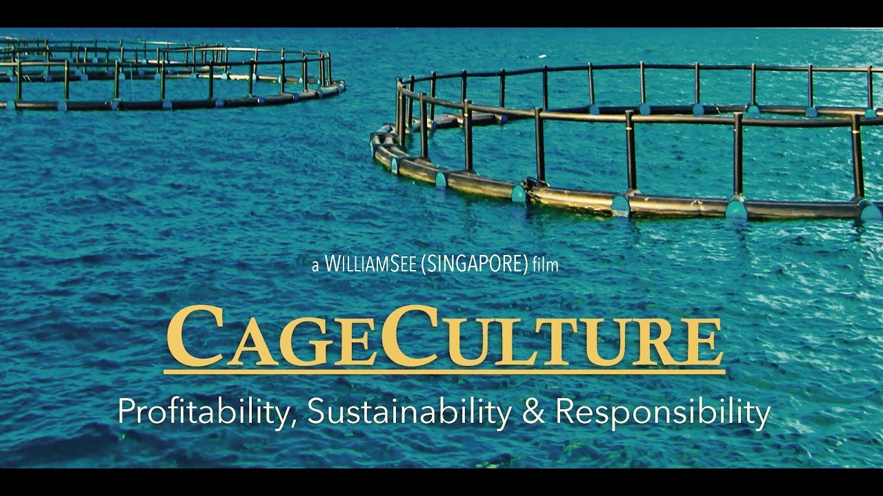 CAGE CULTURE - An Aquaculture Documentary
